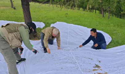 ОЙН ХӨНӨӨЛТ ШАВЖИЙН ЭКОЛОГИ, БИОЛОГИЙН ОНЦЛОГ, ШАВЖИЙН ОЛШРОЛ, ТАРХАЛТ, ГОЛОМТ БҮХИЙ ТАЛБАЙН ХЭМЖЭЭГ ТОГТООХ, ТЭМЦЭЛ ЯВУУЛАХ ТАЛБАЙ, АРГЫГ СОНГОХ СУДАЛГААНЫ АЖИЛ ЯВАГДАЖ БАЙНА